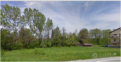 alberi in piedi da abbattere per legna da a