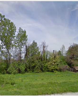 alberi in piedi da abbattere per legna da a