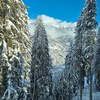 Marilleva - appartamento sugli impianti sciistici