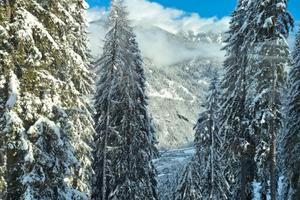 Marilleva - appartamento sugli impianti sciistici