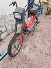 Motociclo califfone rizzato