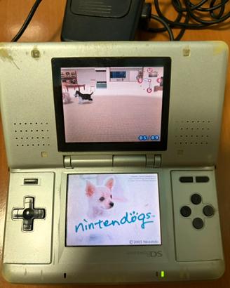 Nintendo ds + caricabatterie + gioco