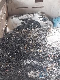 Plastica abs pp pet pvc granulo materiale plastico