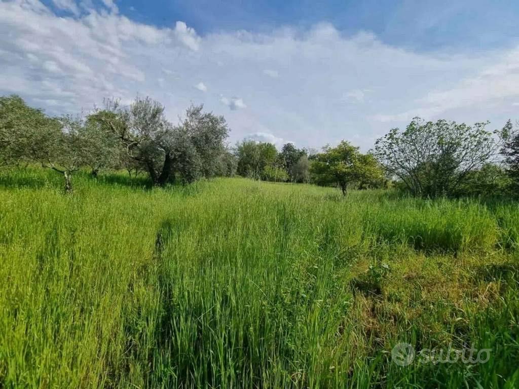 Rustico / Casale di 120 m² con 1 locale e box auto - Vista 4