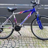 bottecchia 26"