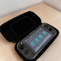 Nintendo Switch Lite Picofly