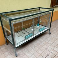 Voliera uccelli