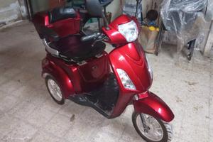 Altro Altro modello - 2019