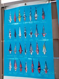 Koi poster , poster di carpe koi