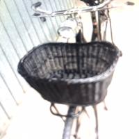 Bicicletta donna OLIMPIA maraton