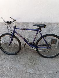 Rampichino 
