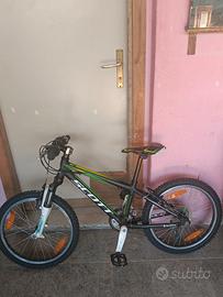 Bicicletta 