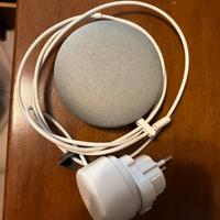 Google home