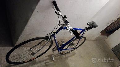 Bicicletta Colnago Dedacciai 