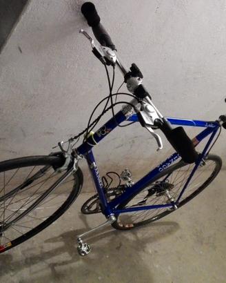 Bicicletta Colnago Dedacciai 
