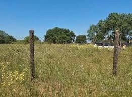 Terreno 2000 mq agricolo