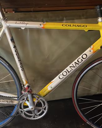 bici da corsa Colnago