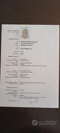 Badante 24 ore