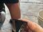 Immagine 2