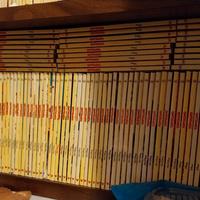 Collezione di giornalini "Topolino" per bambini 