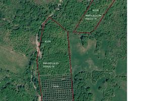 Terreno agricolo con ulivi e bosco di aceri