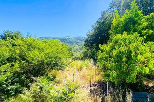 TER. AGRICOLO A PAOLA