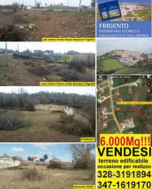 Terreno edificab. 6000mq nei pressi Grottaminarda