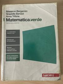 Matematica verde 1