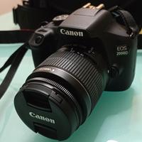 Canon 2000d + 18-55mm