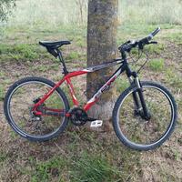 bici Mountain bike 