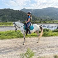 Pony dressage
