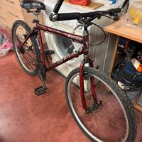 Bicicletta uomo
