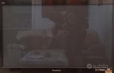 Televisore al Plasma Panasonic  42 pollici 