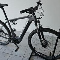 e-mtb Whistle b-race