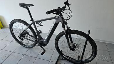 e-mtb Whistle b-race