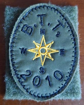 Patch Ovale Rosa dei Venti B.T.T. 2010 - Verde
