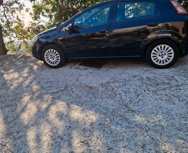 Fiat punto evo