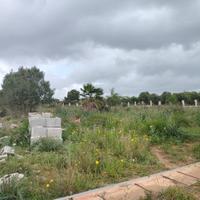 1 km dal mare