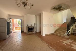 Negozio Avetrana [1203VCG]