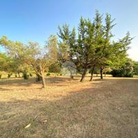 TER. AGRICOLO A ALGHERO