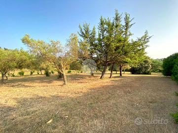 TER. AGRICOLO A ALGHERO