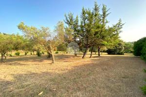 TER. AGRICOLO A ALGHERO