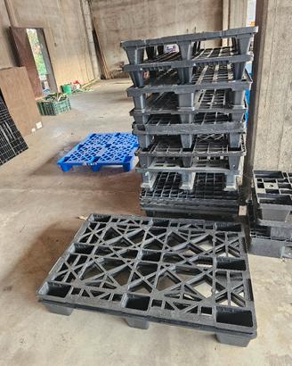 bancali leggeri 120x80 plastica