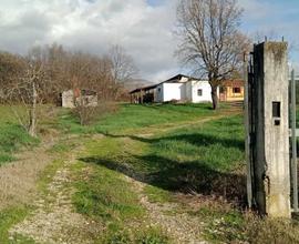 Casa indipendente con rustici annessi e terreno