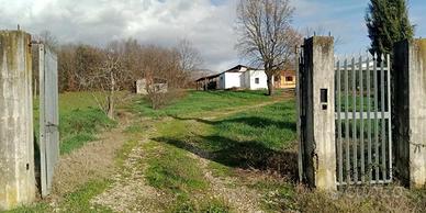 Casa indipendente con rustici annessi e terreno