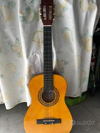 Chitarra stealton