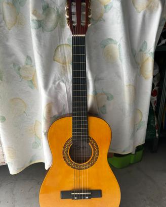 Chitarra stealton