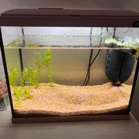 Acquario Zolux 18 litri