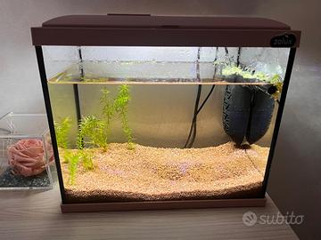 Acquario Zolux 18 litri