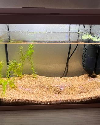 Acquario Zolux 18 litri